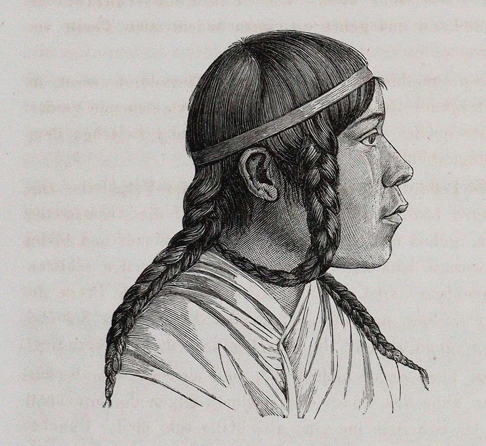 Retzius,A. | Bild Nr.2