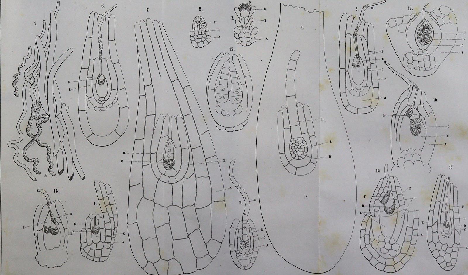 Atti della Riunione | Bild Nr.1