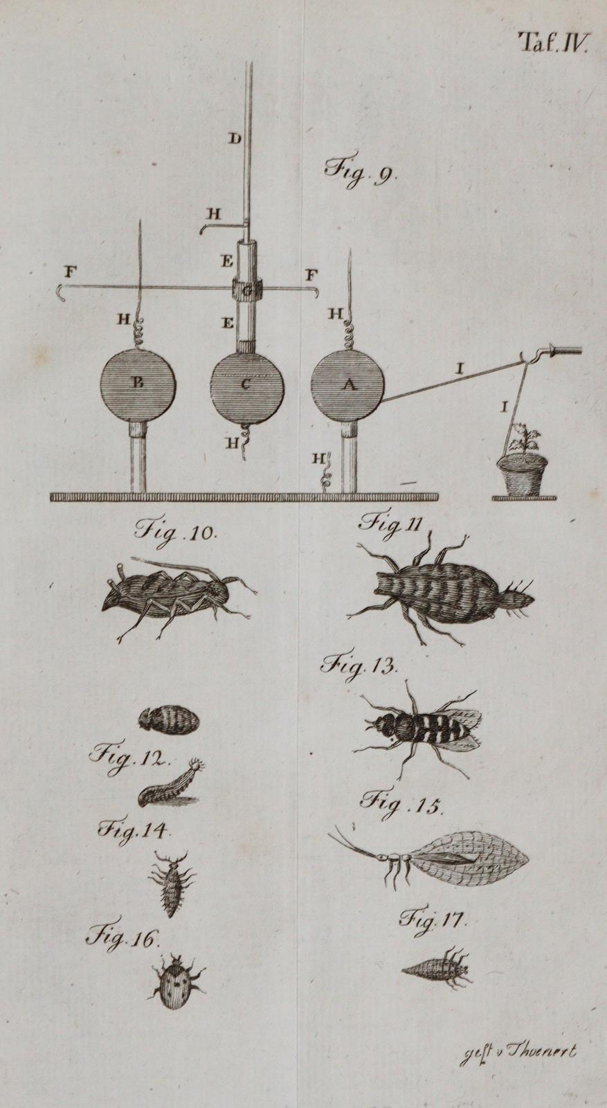 Darwin,E. | Bild Nr.2