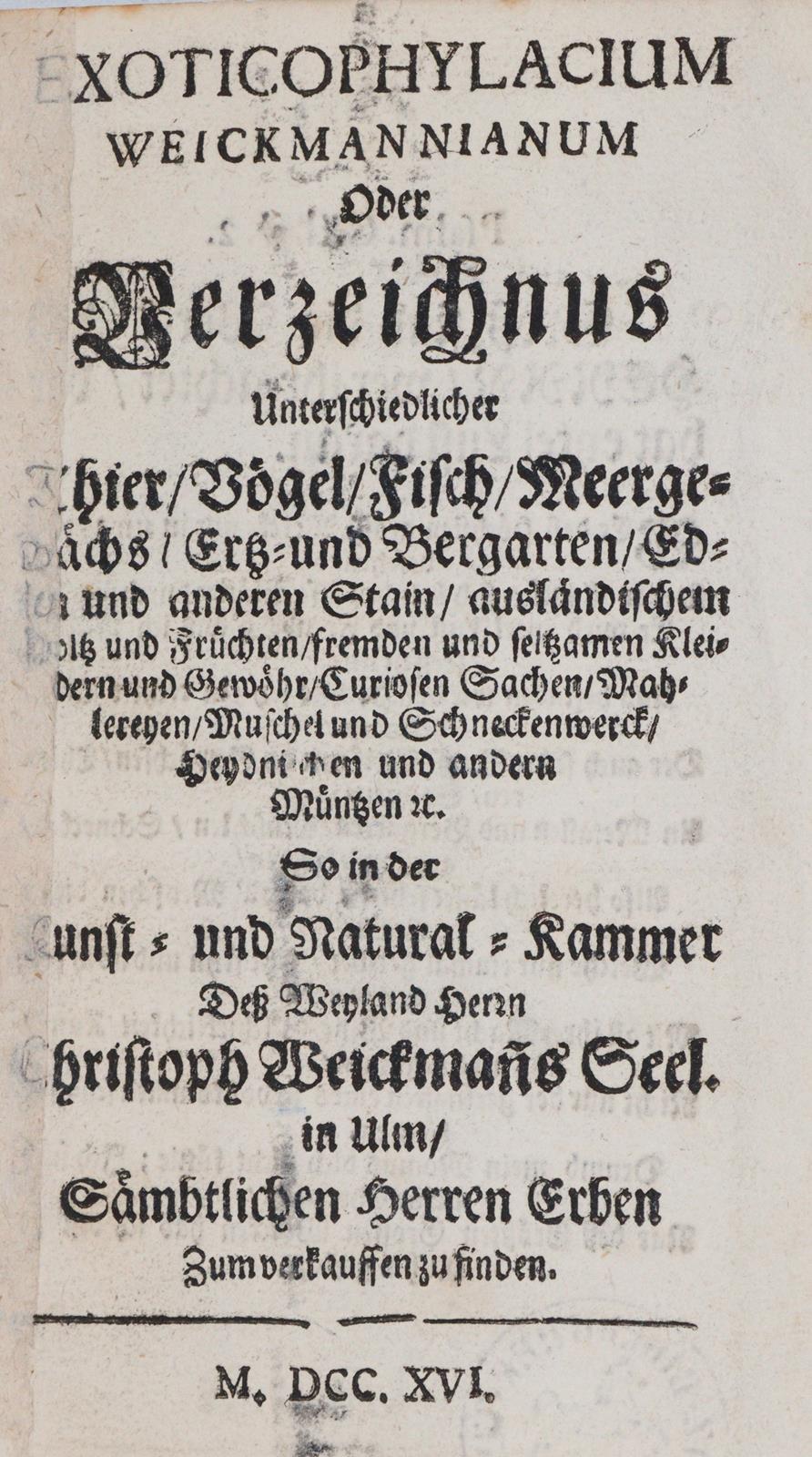 Exoticophylacium Weickmannium | Bild Nr.3