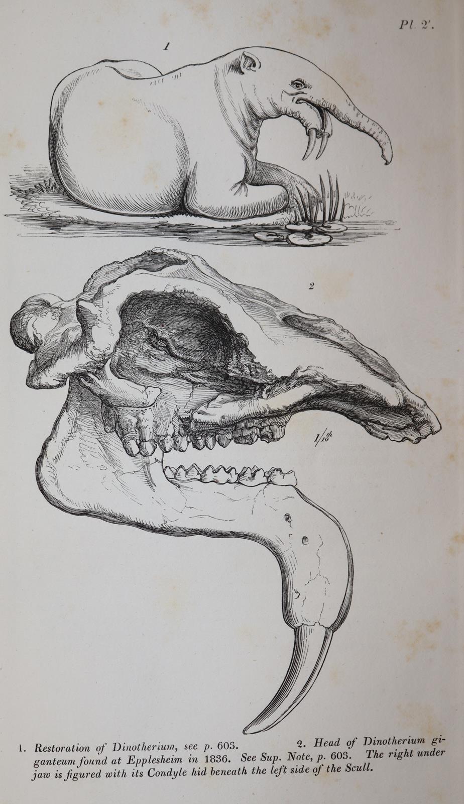 Buckland,W. | Bild Nr.2