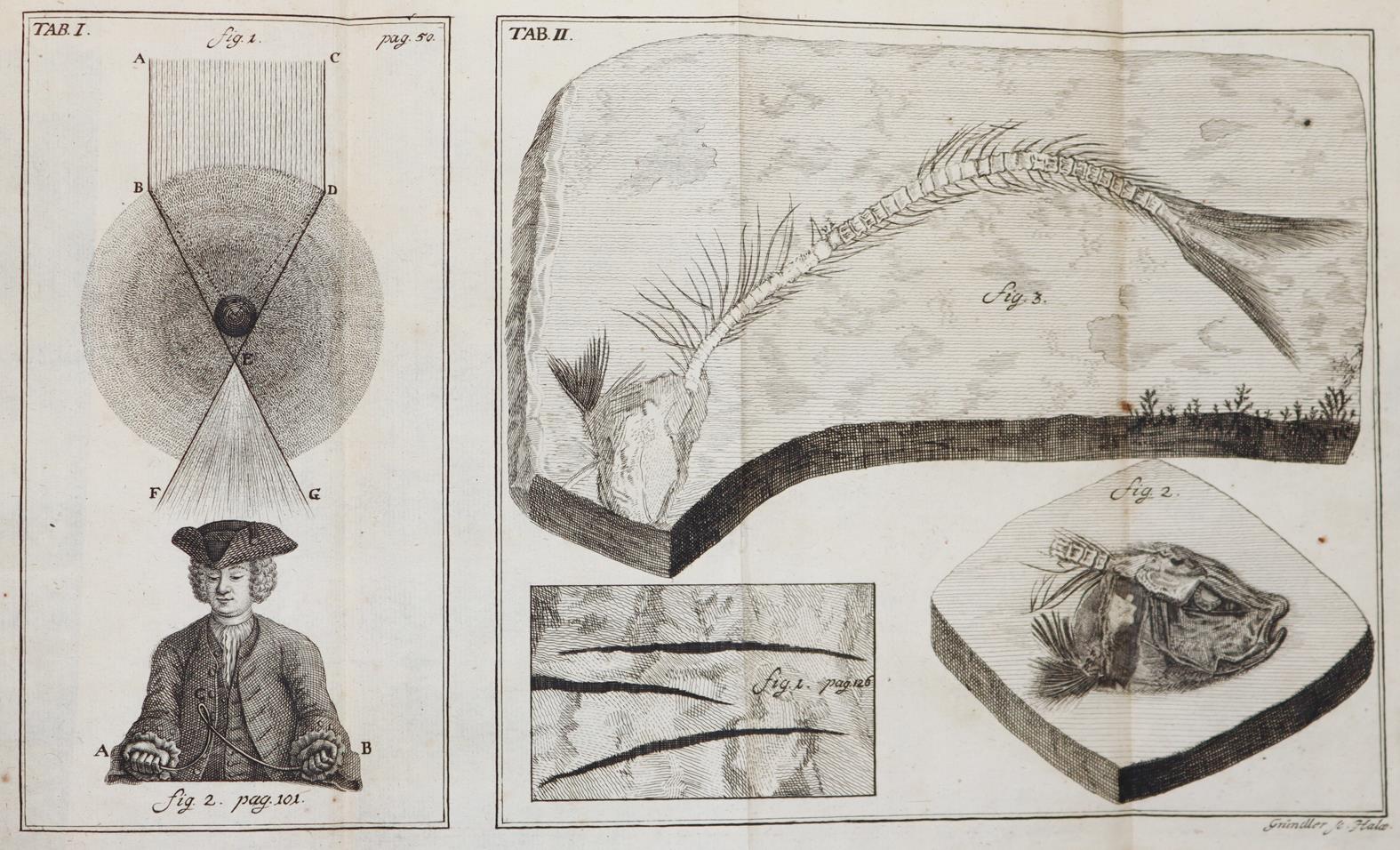 Krüger,J.G. | Bild Nr.2