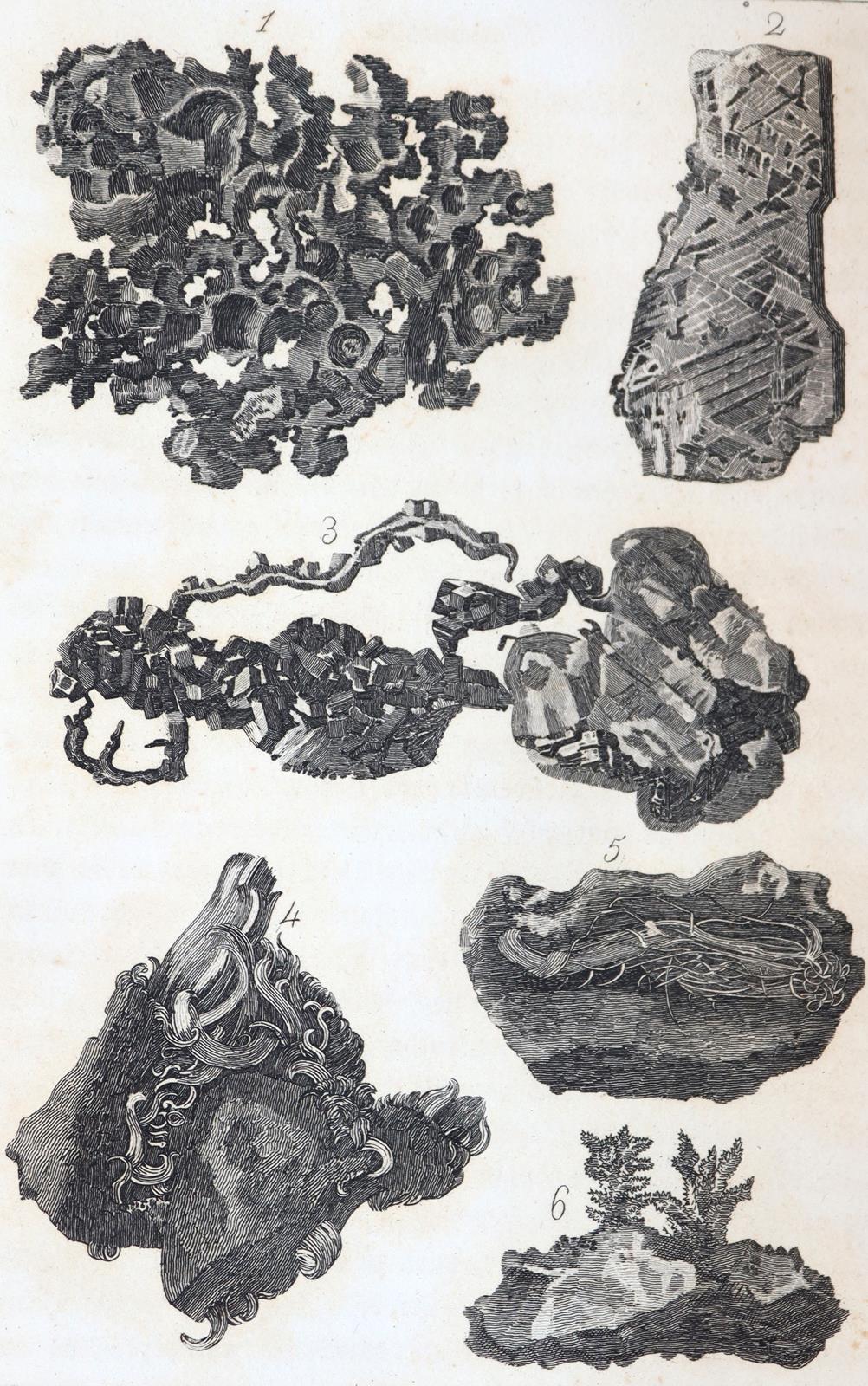 Leonhard,K.C.v. | Bild Nr.3