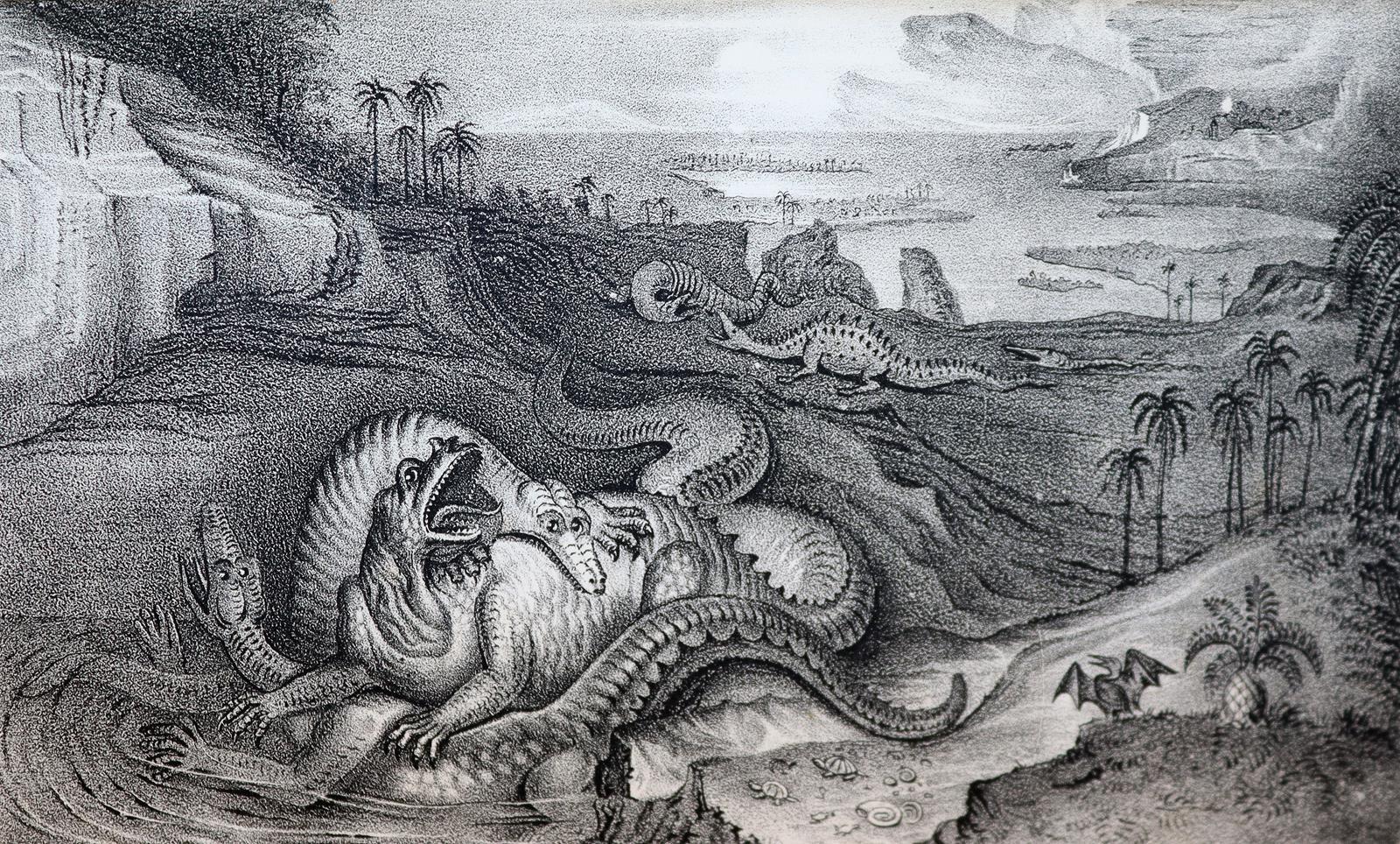 Mantell,G. | Bild Nr.2