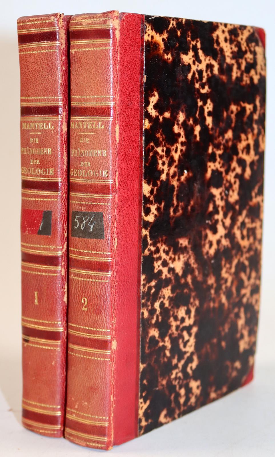 Mantell,G. | Bild Nr.6