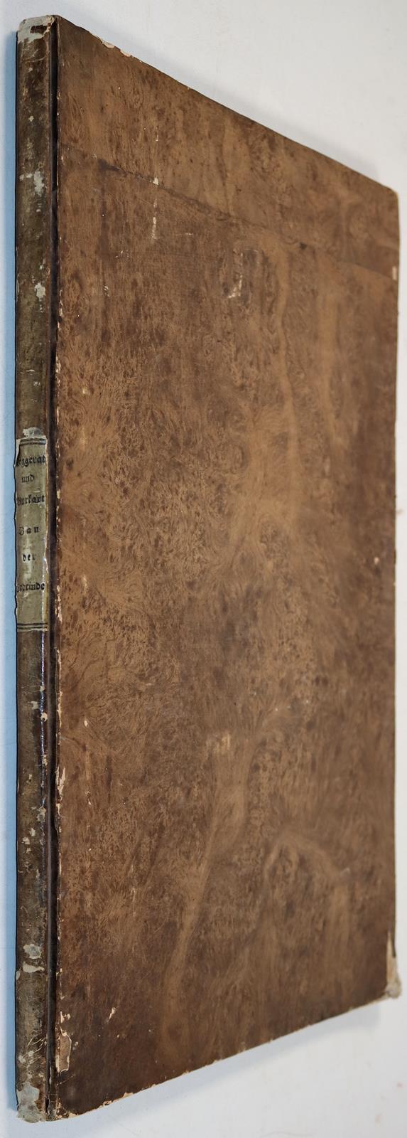 Nöggerath,J. u. J.Burkart. | Bild Nr.5