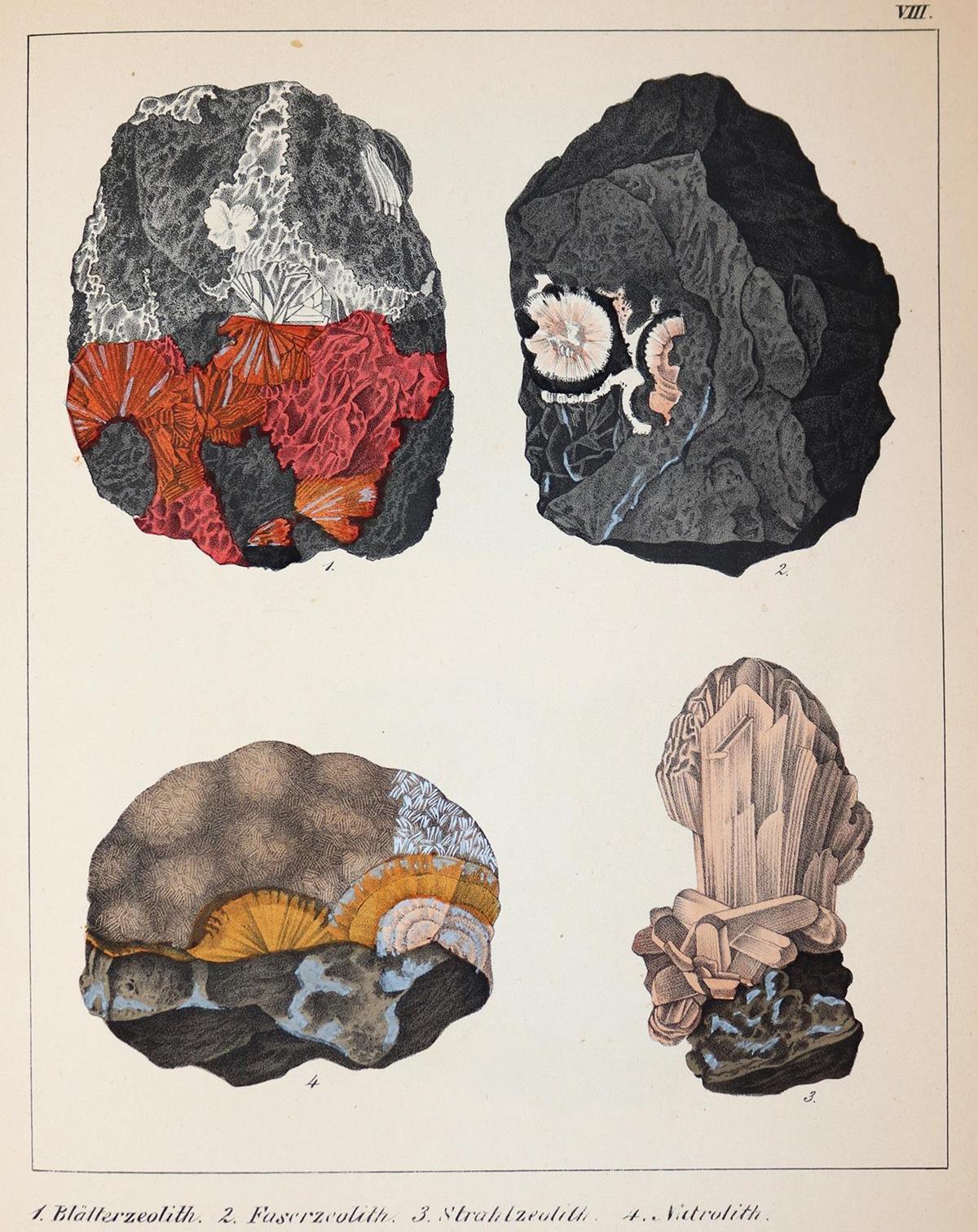 Schmidt,F.A. | Bild Nr.4