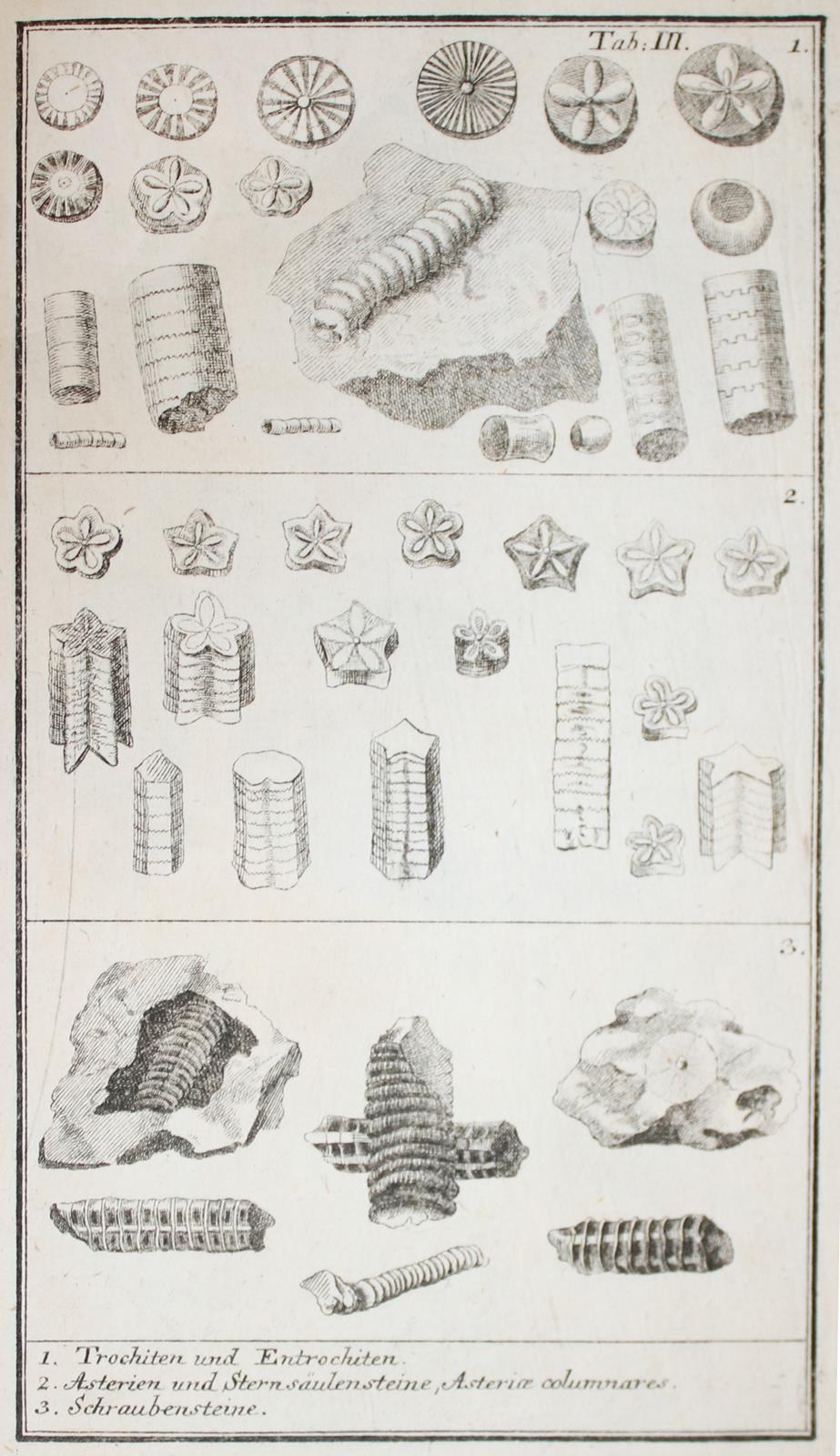 Walch,J.E.I. | Bild Nr.4