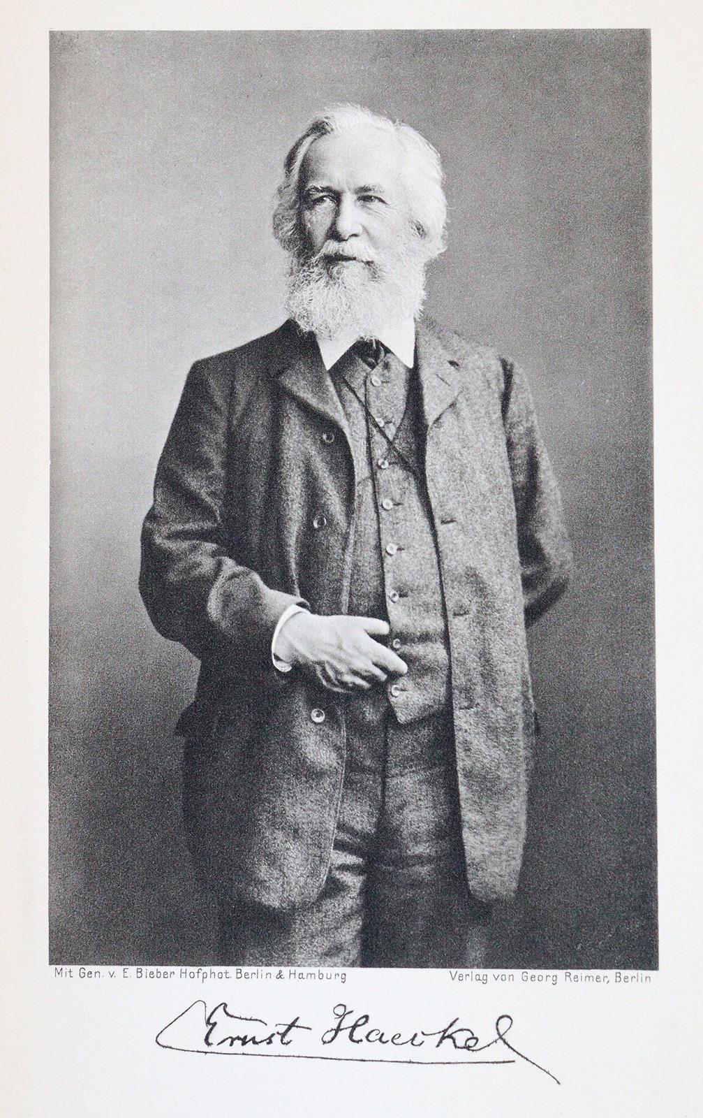 Haeckel,E. | Bild Nr.2