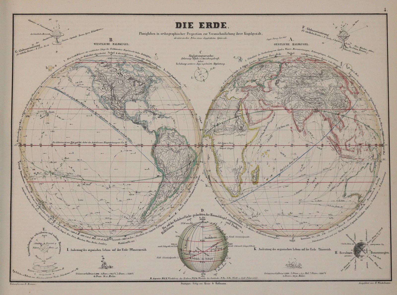 Humboldt,A.v. | Bild Nr.4