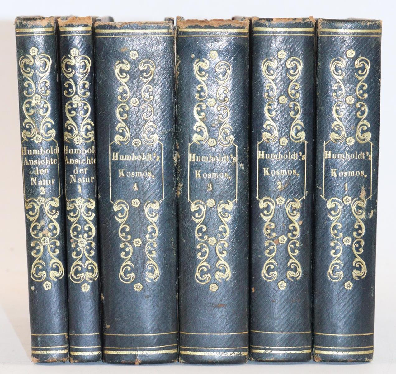 Humboldt,A.v. | Bild Nr.11