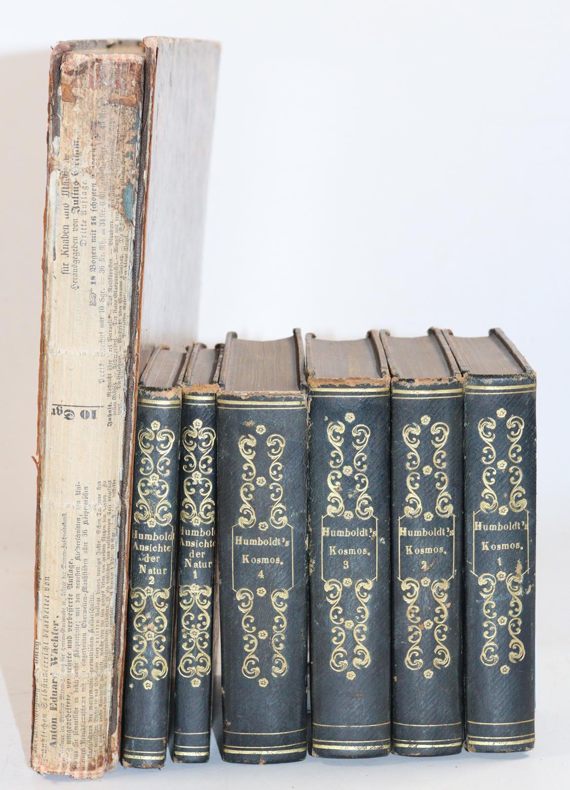 Humboldt,A.v. | Bild Nr.12