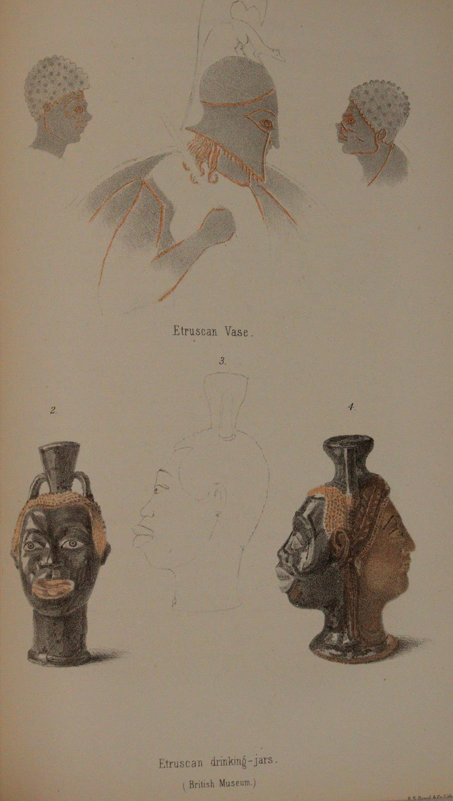 Indigenous Races | Bild Nr.5