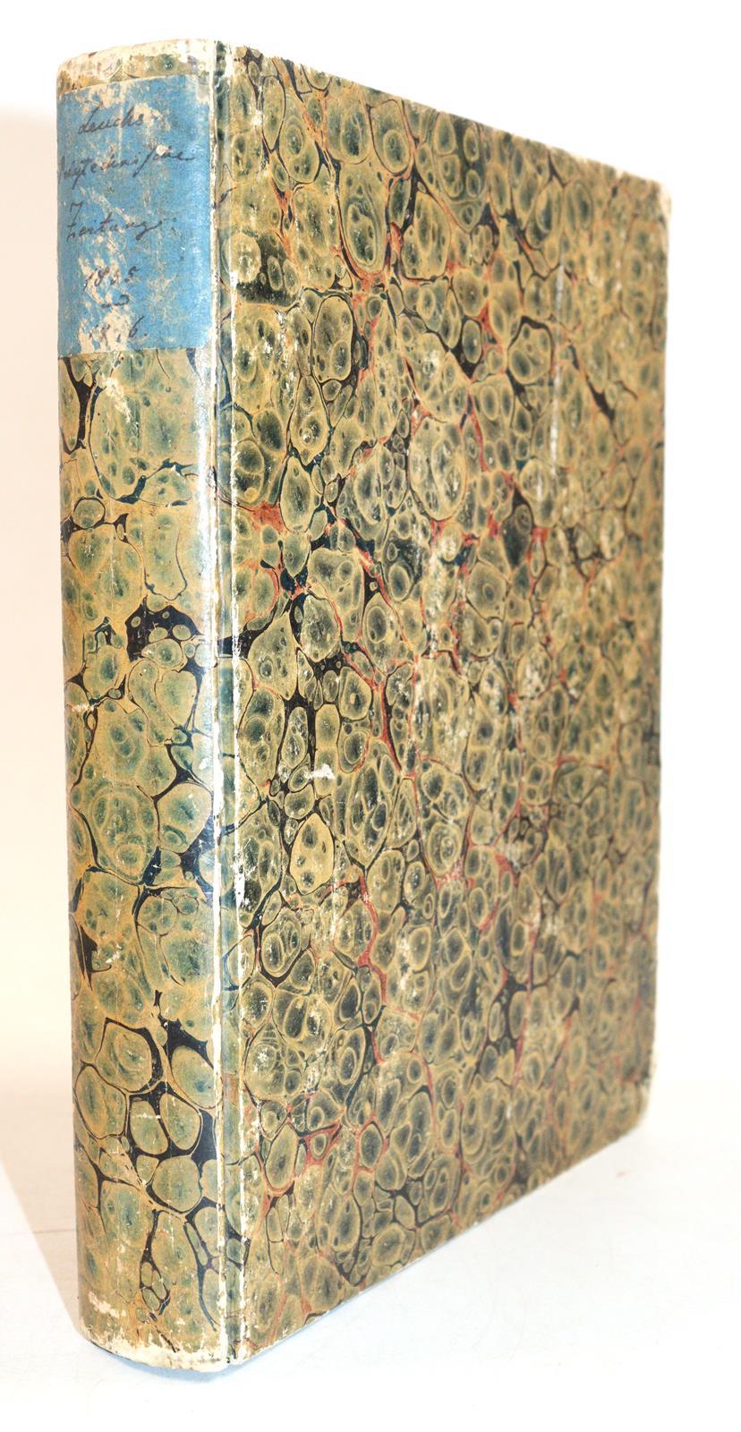 Leuchs,J.C. u. E.F. (Hrsg.). | Bild Nr.2