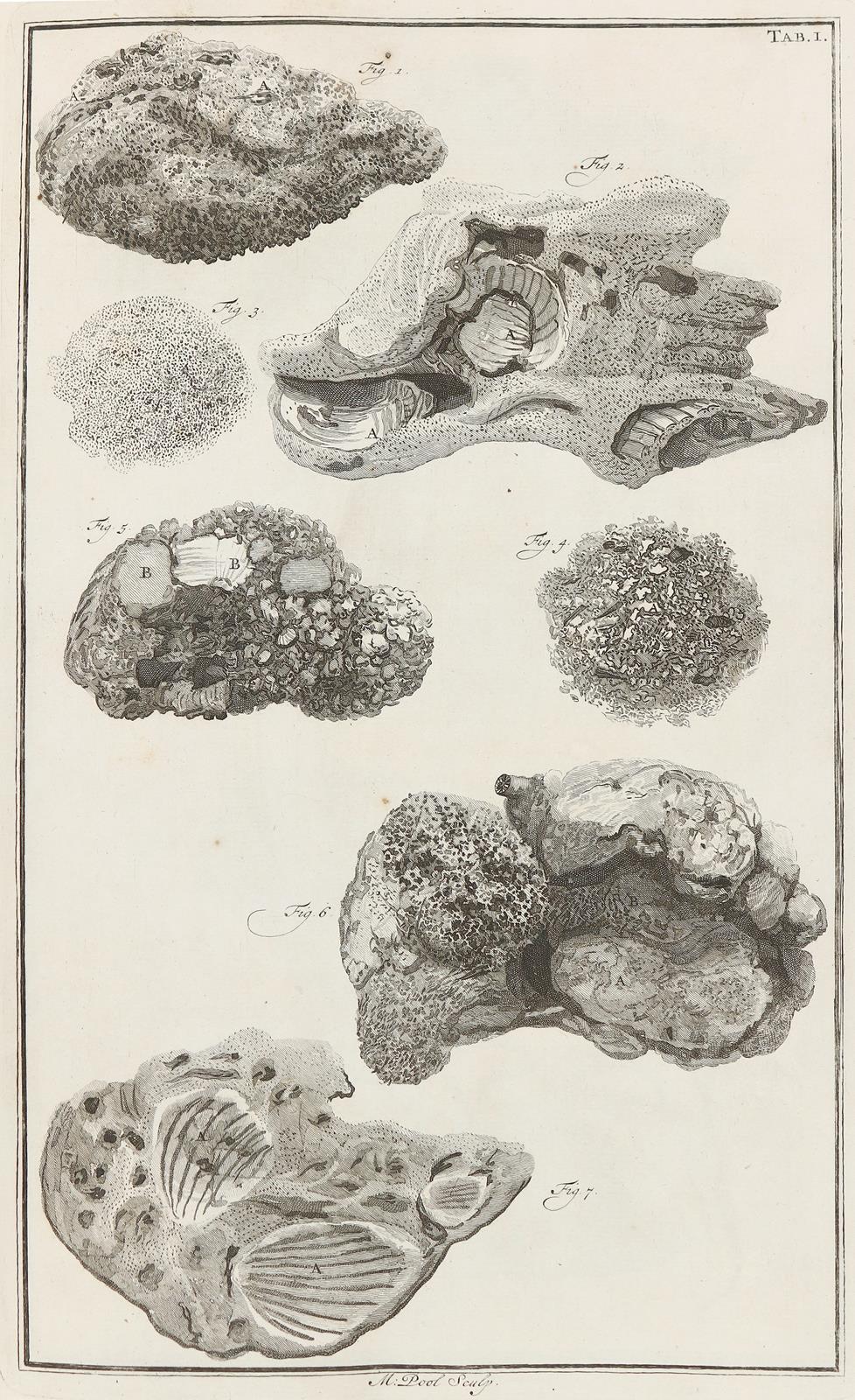 Marsigli,L.F. | Bild Nr.5
