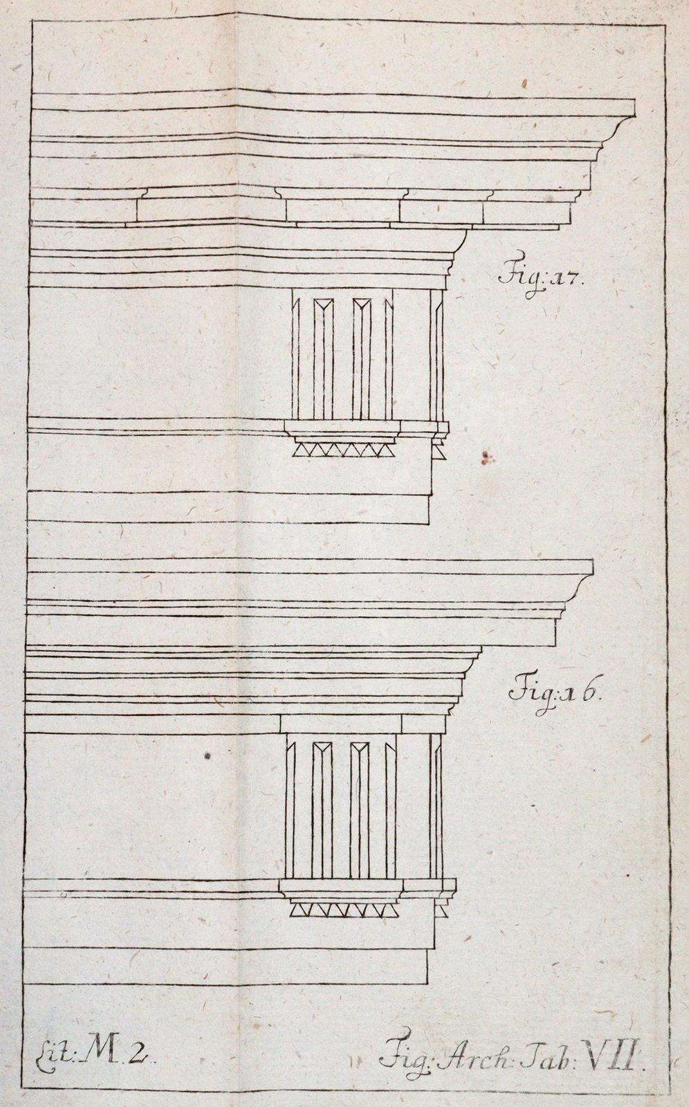 Wolff,C. | Bild Nr.5