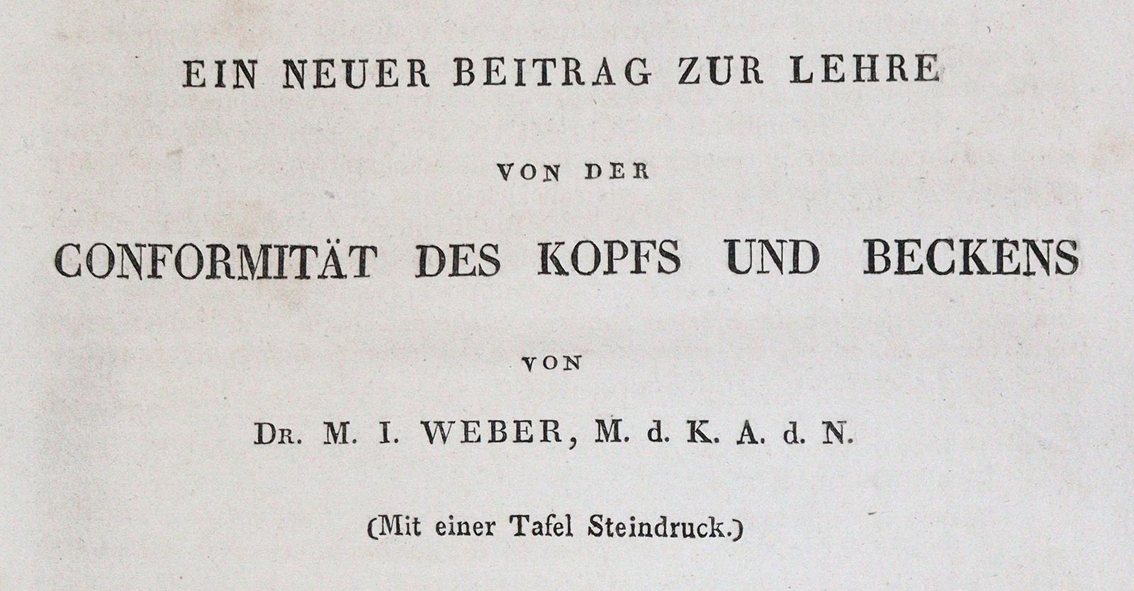 Sammlung | Bild Nr.1