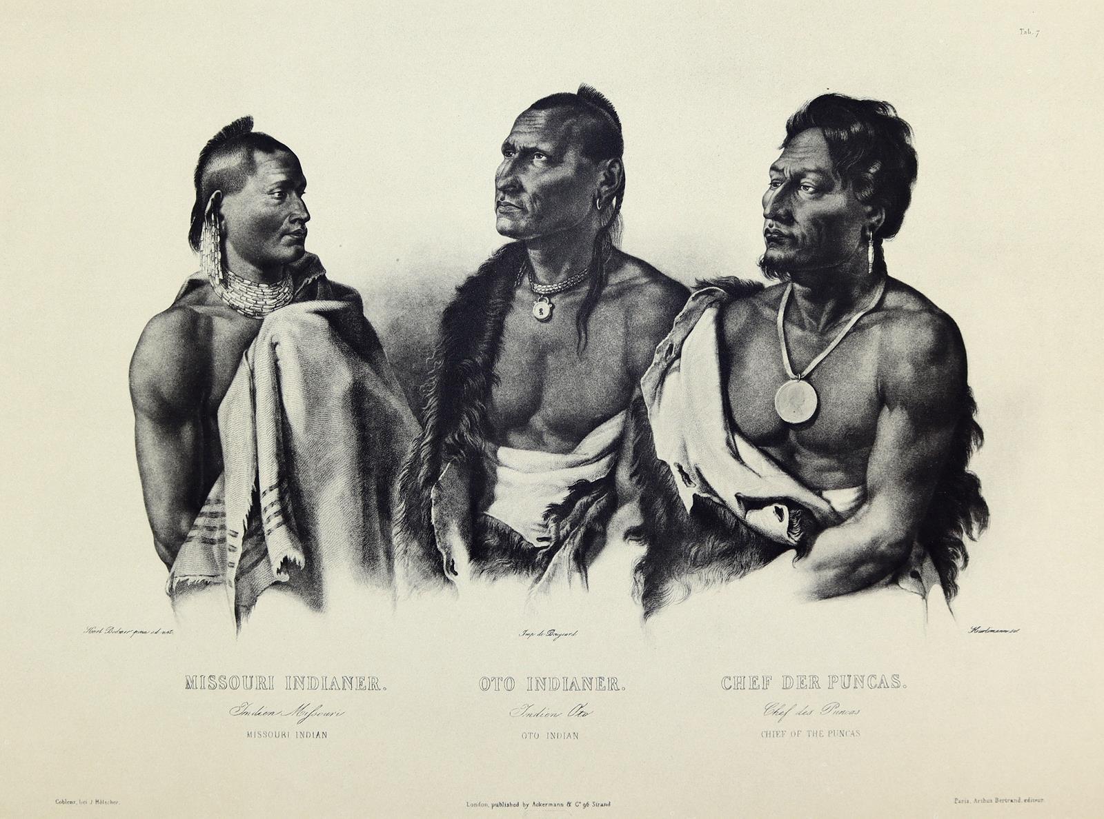 Bodmer,C. | Bild Nr.2