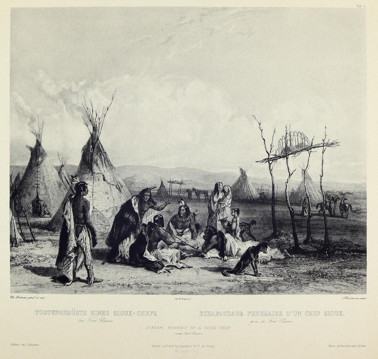 Bodmer,C. | Bild Nr.3