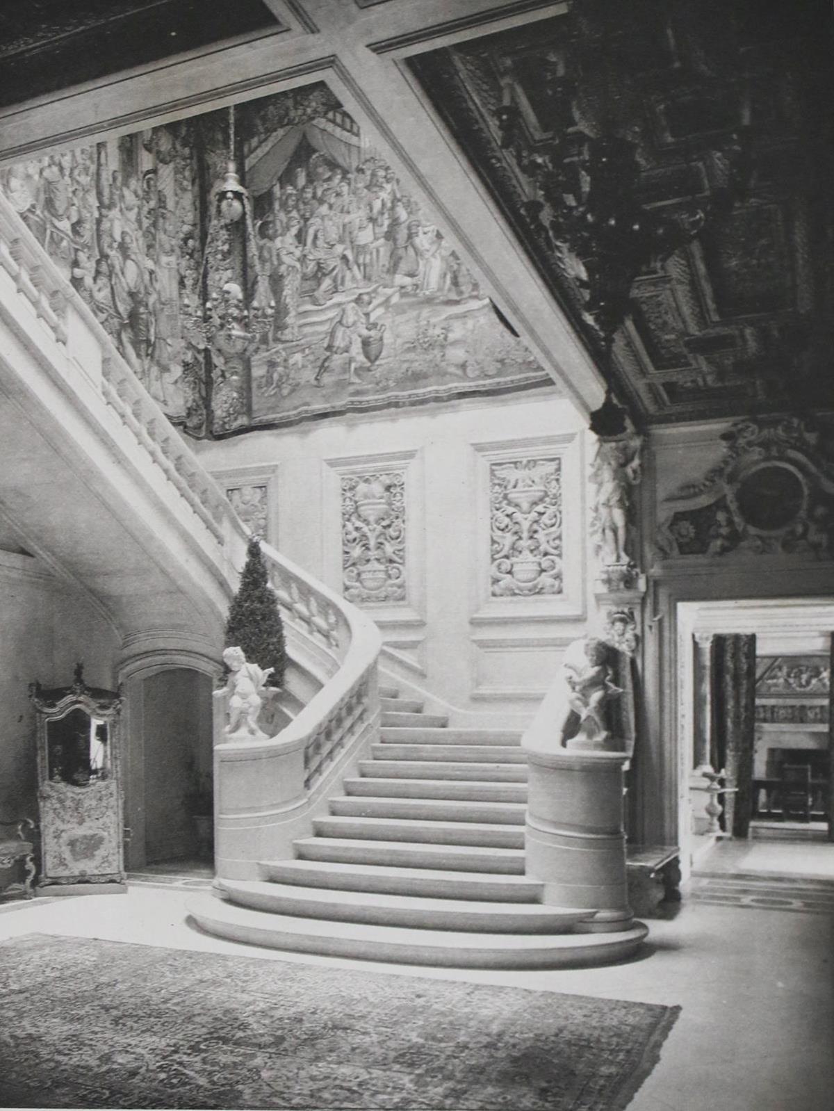 Salomon,W. | Bild Nr.2