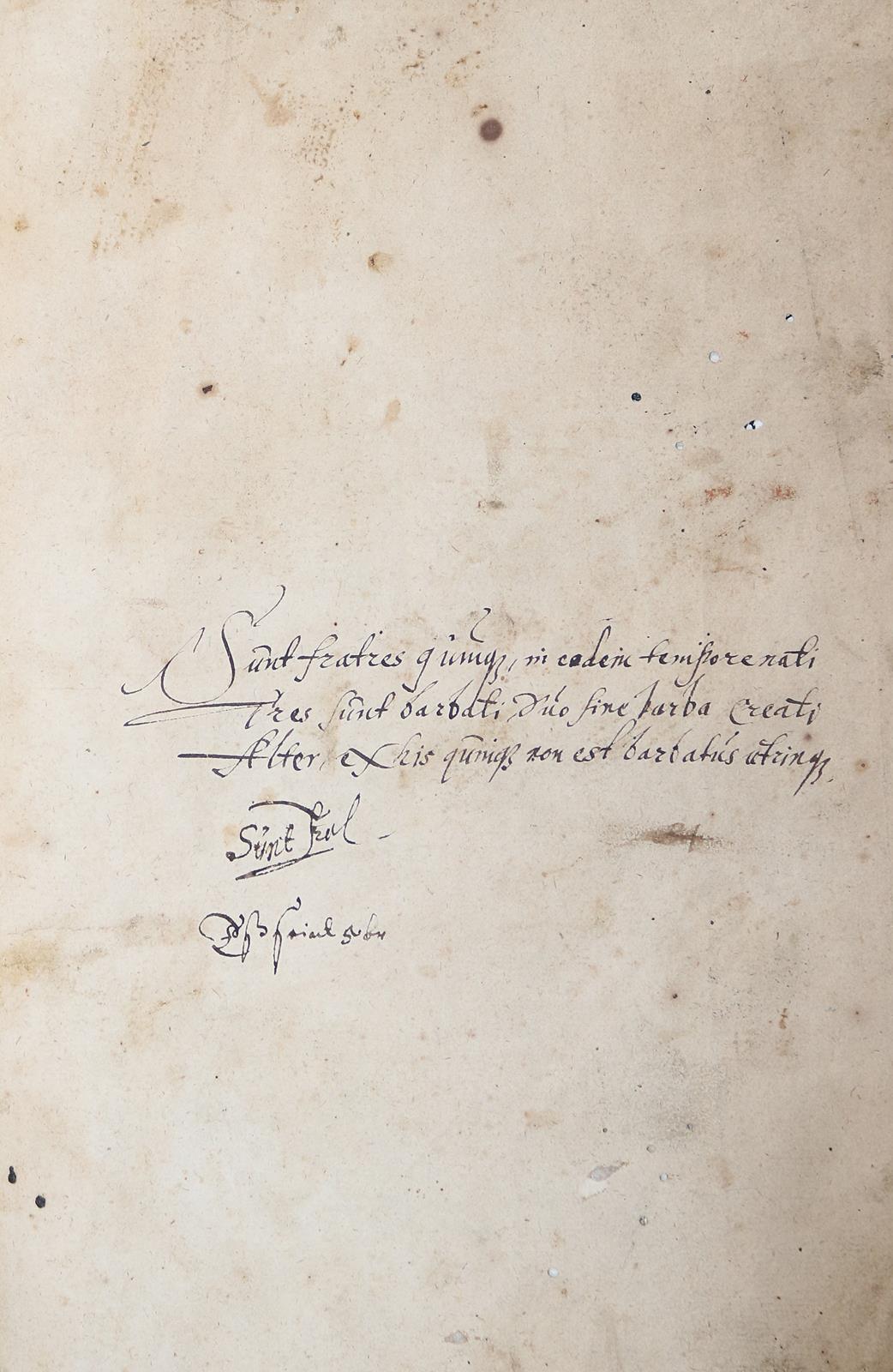 Magnus,O. | Bild Nr.5