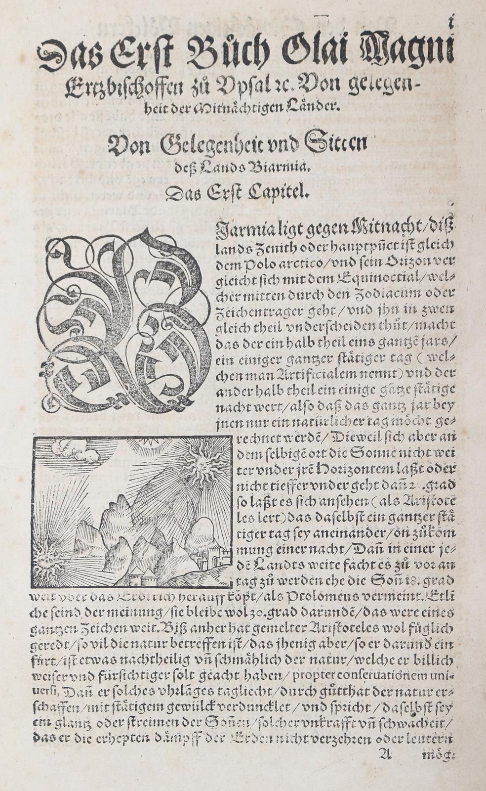 Magnus,O. | Bild Nr.10