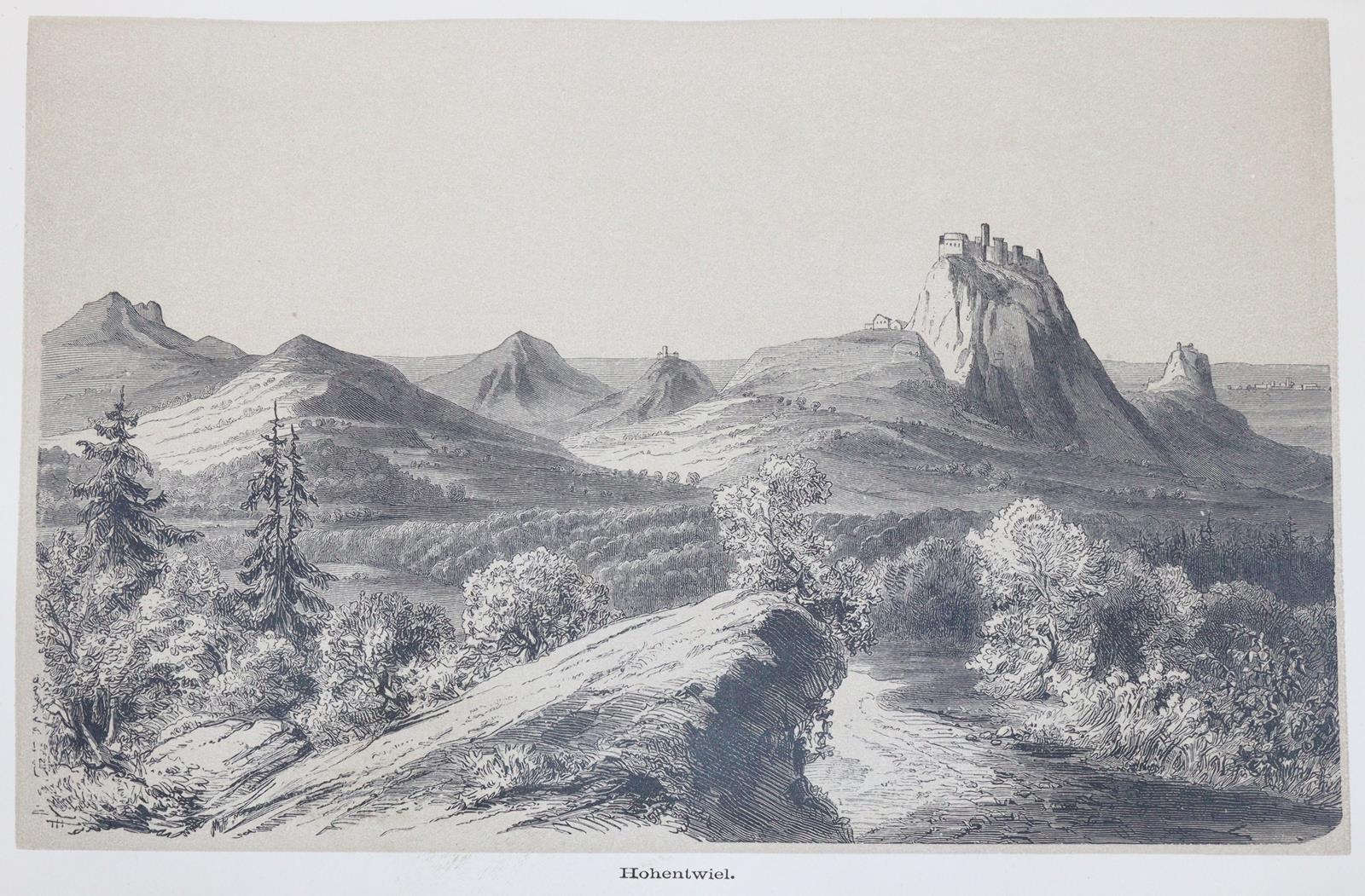 Griesinger,T. | Bild Nr.1