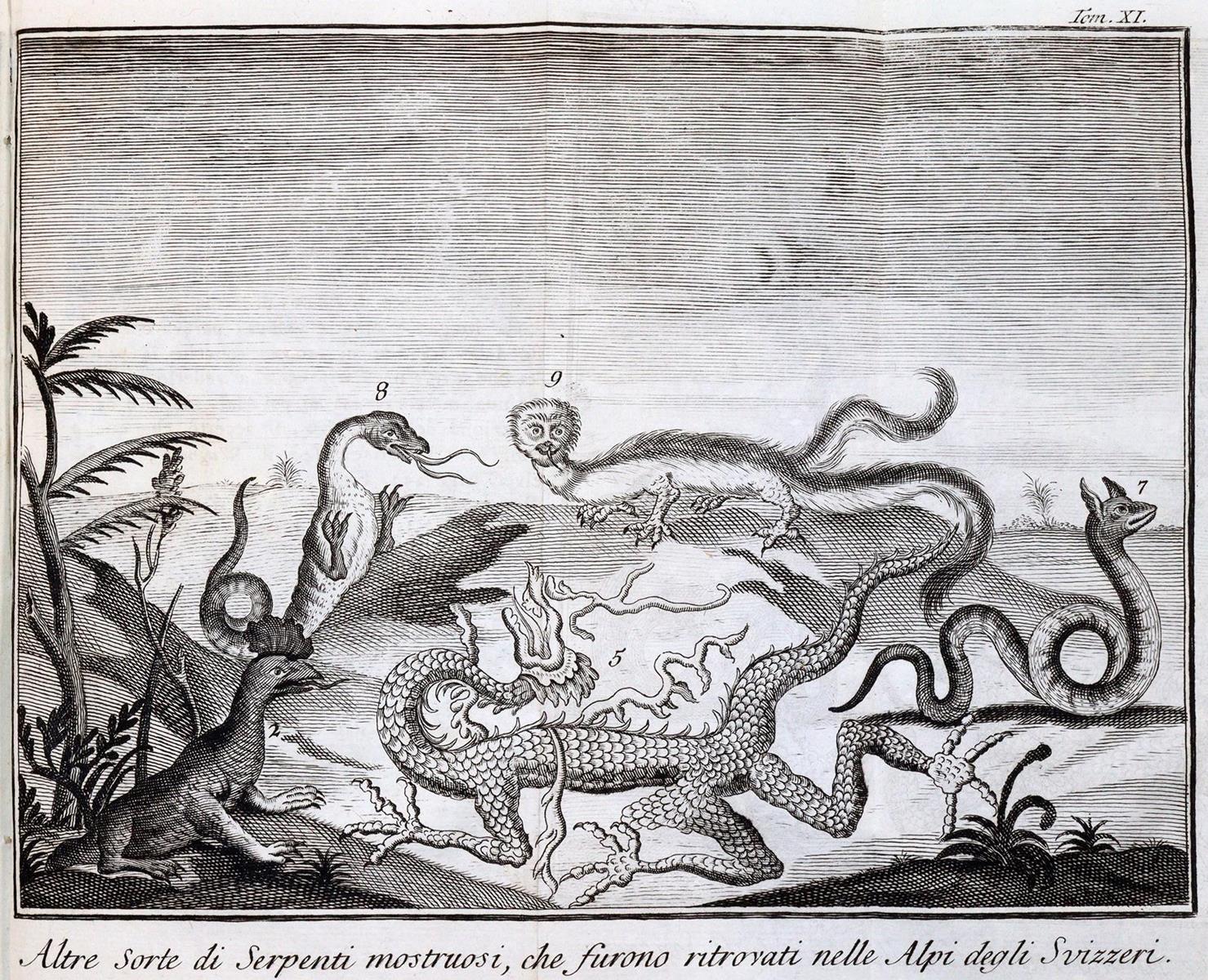 (Salmon,T.). | Bild Nr.3