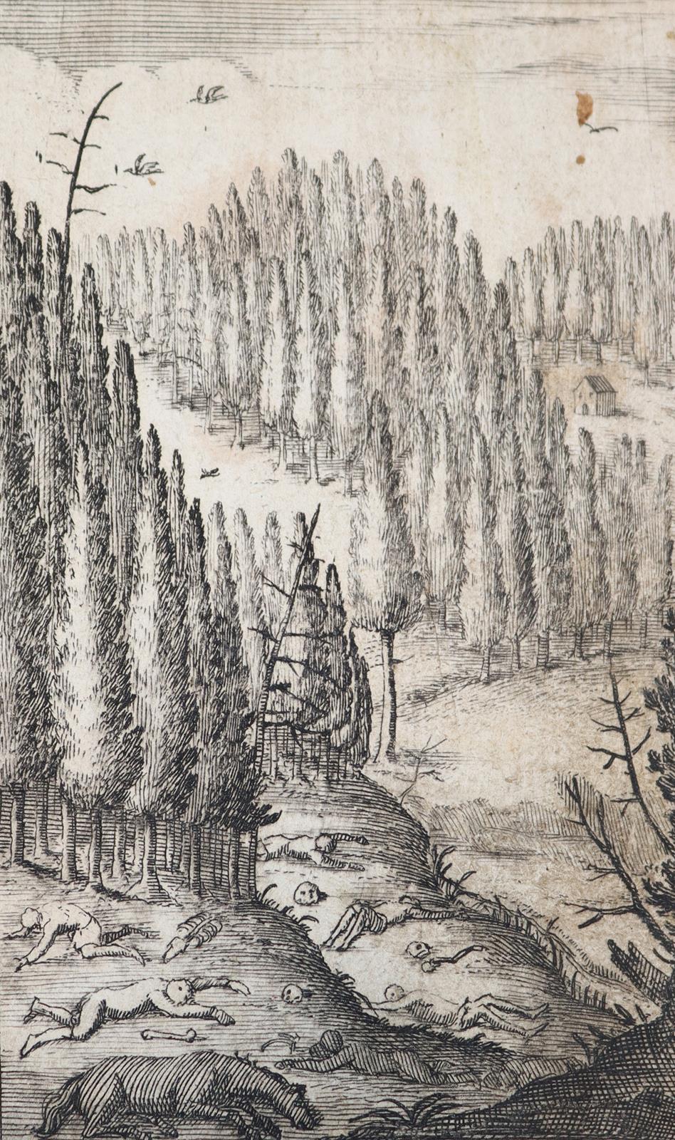 Kurtze Beschreibung | Bild Nr.2