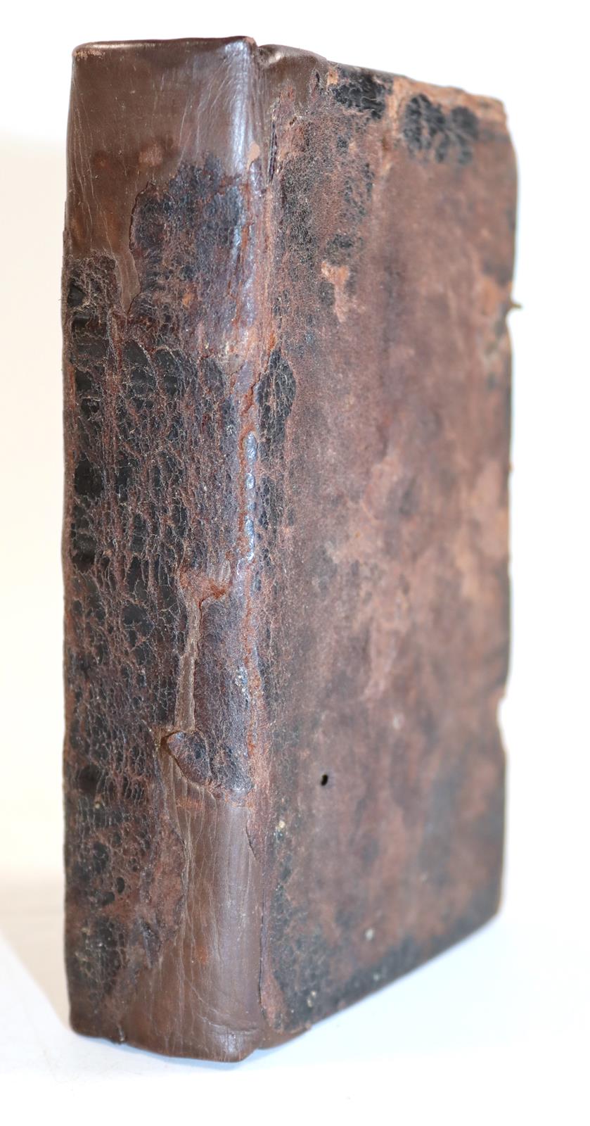 Kurtze Beschreibung | Bild Nr.4