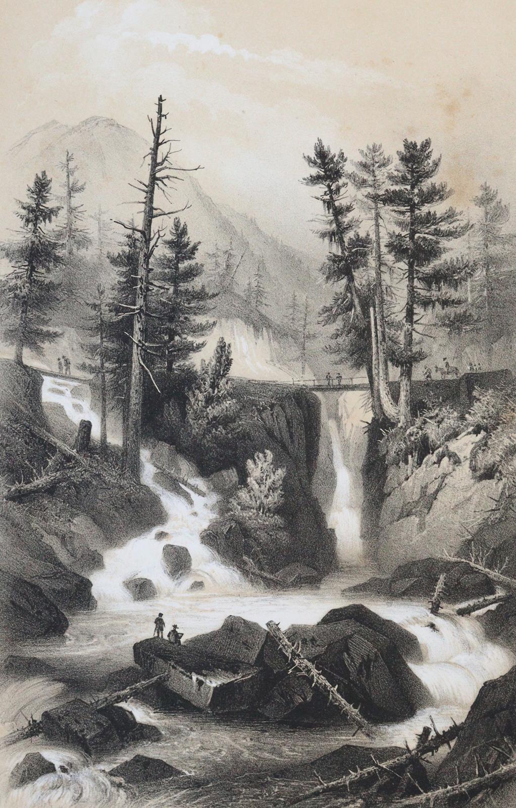 Gorse,A. | Bild Nr.4