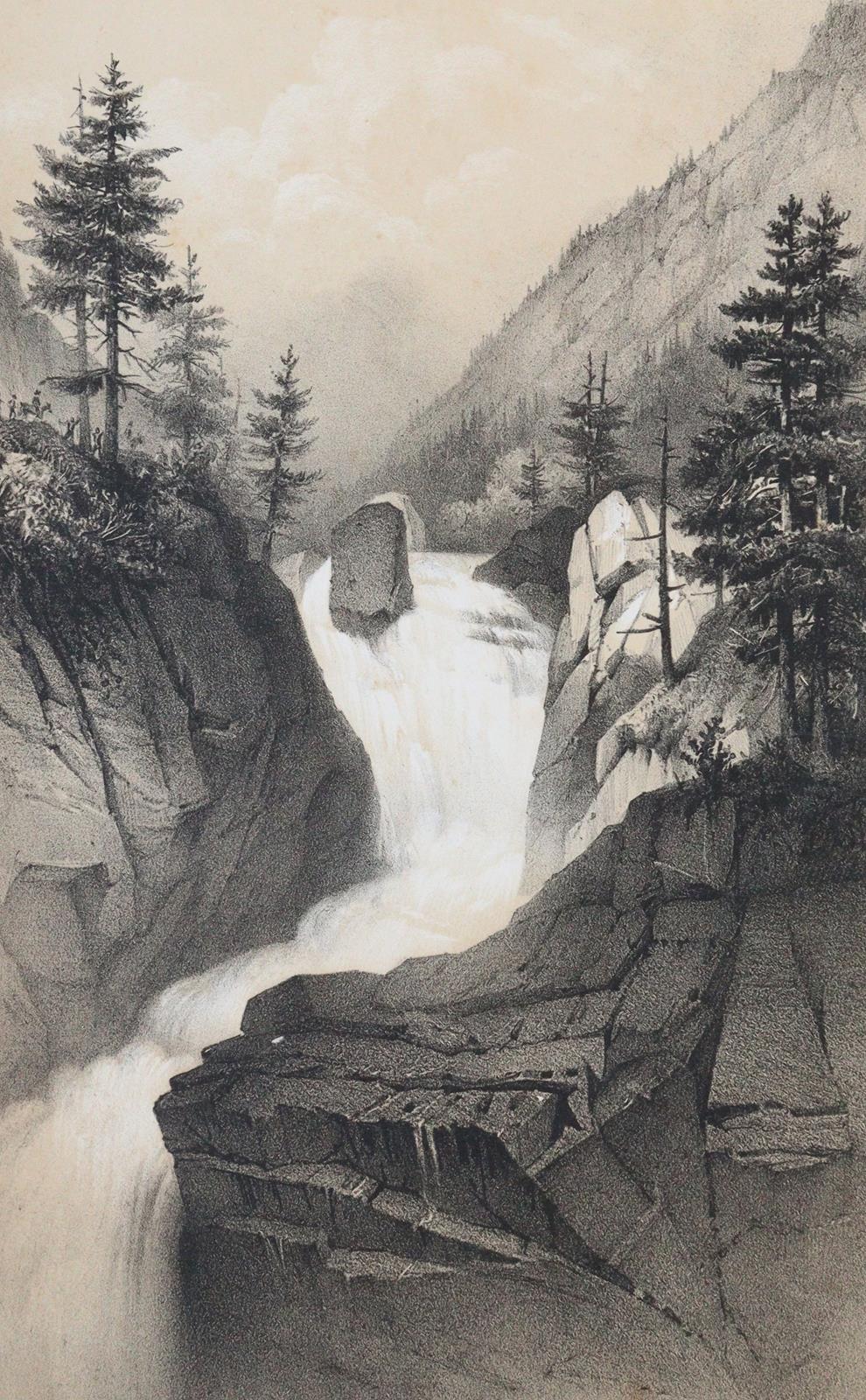 Gorse,A. | Bild Nr.5