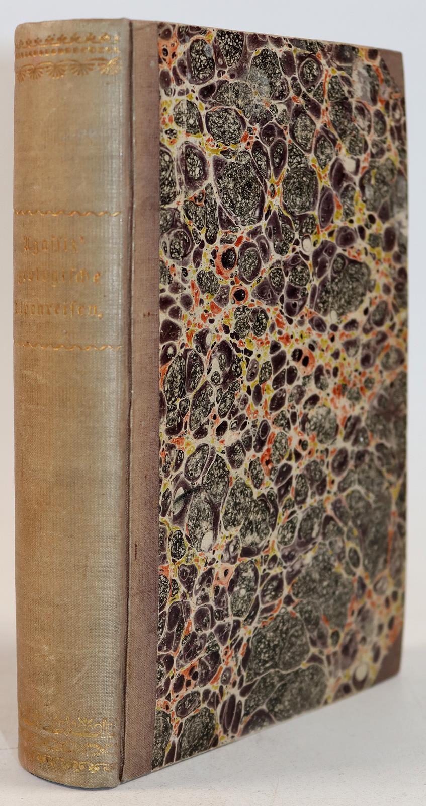 Desor,E. | Bild Nr.6