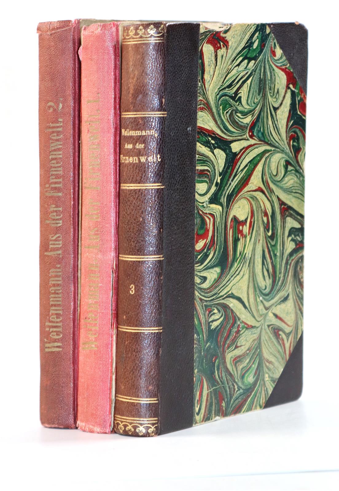 Weilenmann,J.J. | Bild Nr.4