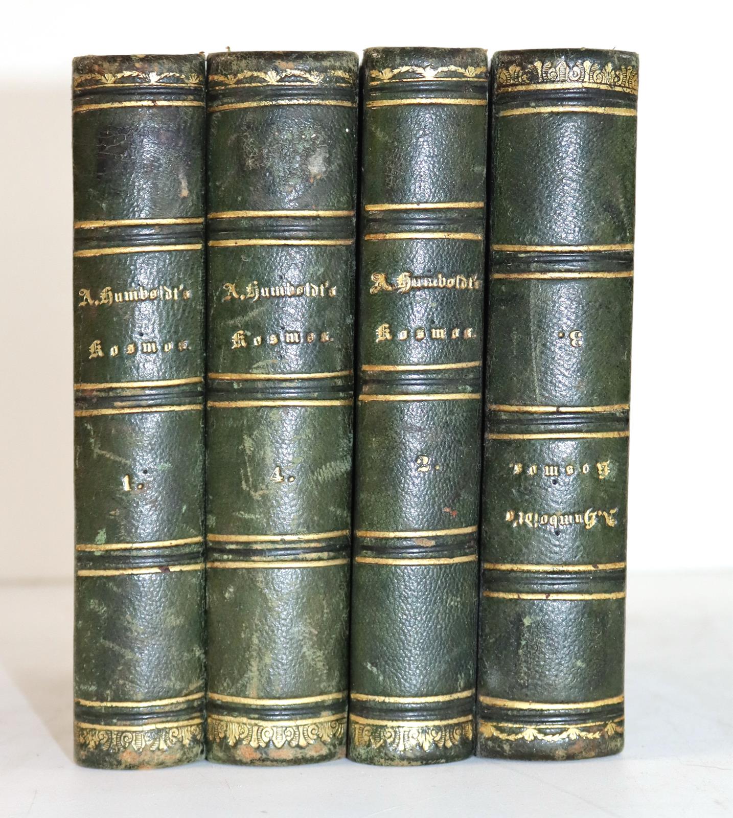 Humboldt,A.v. | Bild Nr.2