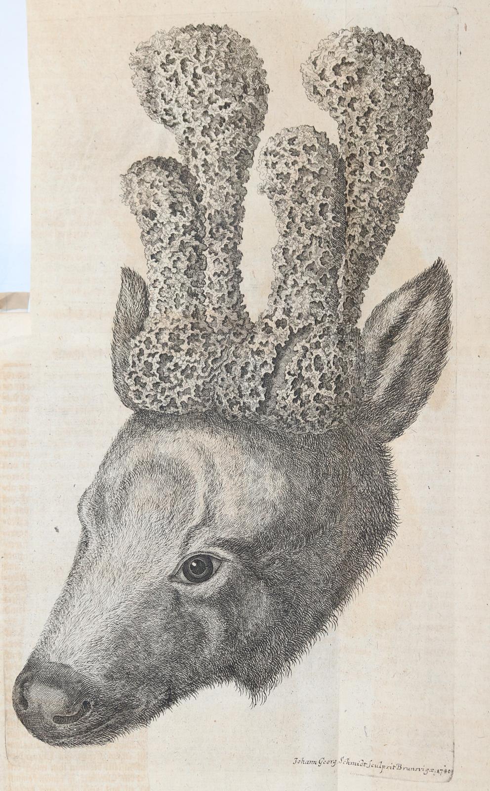 Keyßler,Joh.G. | Bild Nr.1