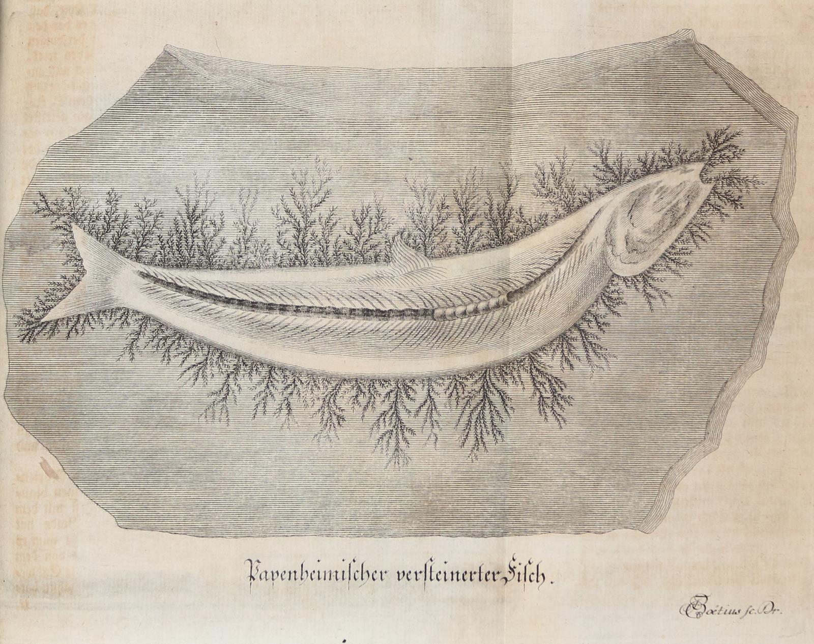 Keyßler,Joh.G. | Bild Nr.4