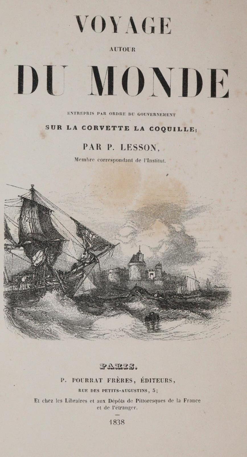 Lesson,R.P. | Bild Nr.1