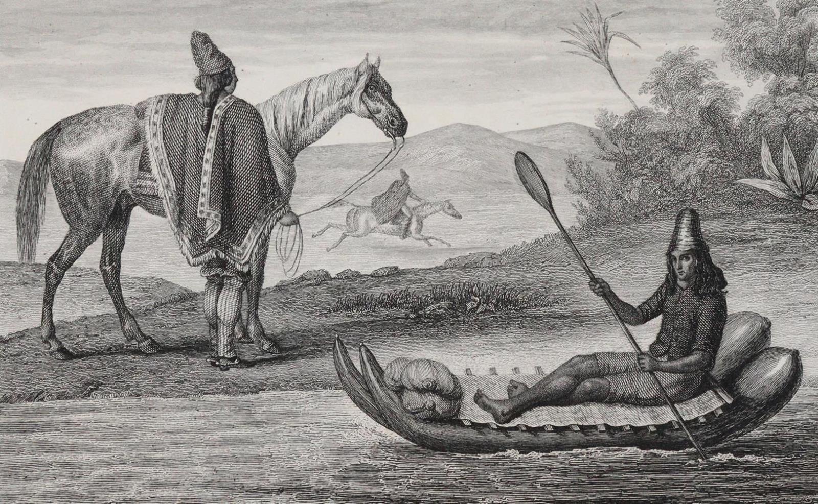 Lesson,R.P. | Bild Nr.3