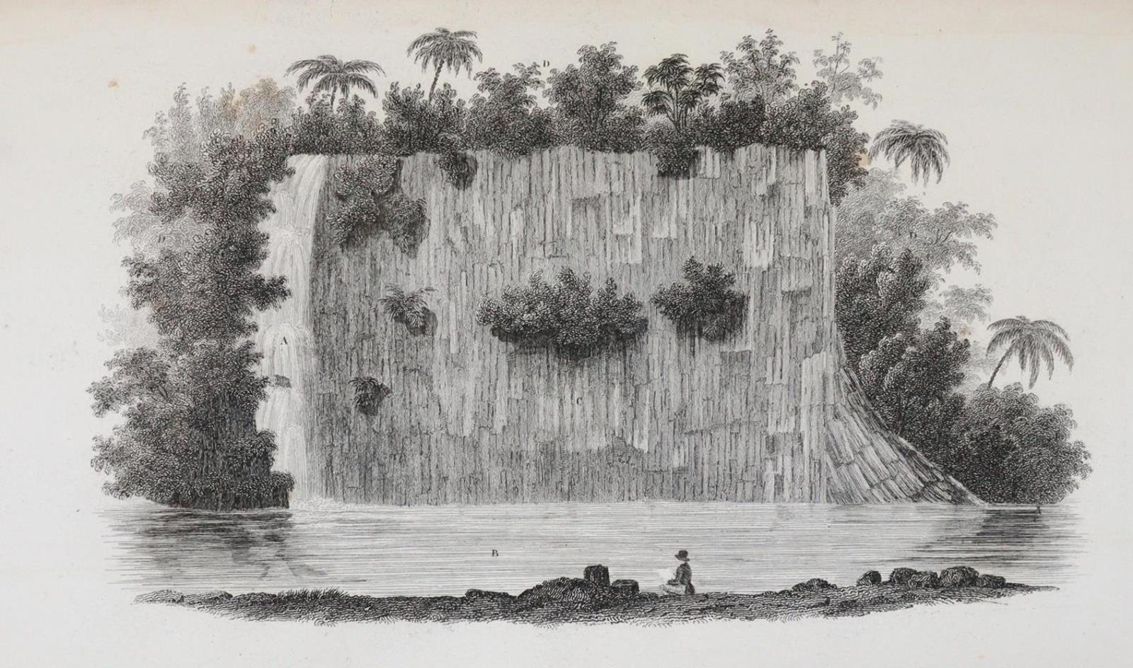 Lesson,R.P. | Bild Nr.4