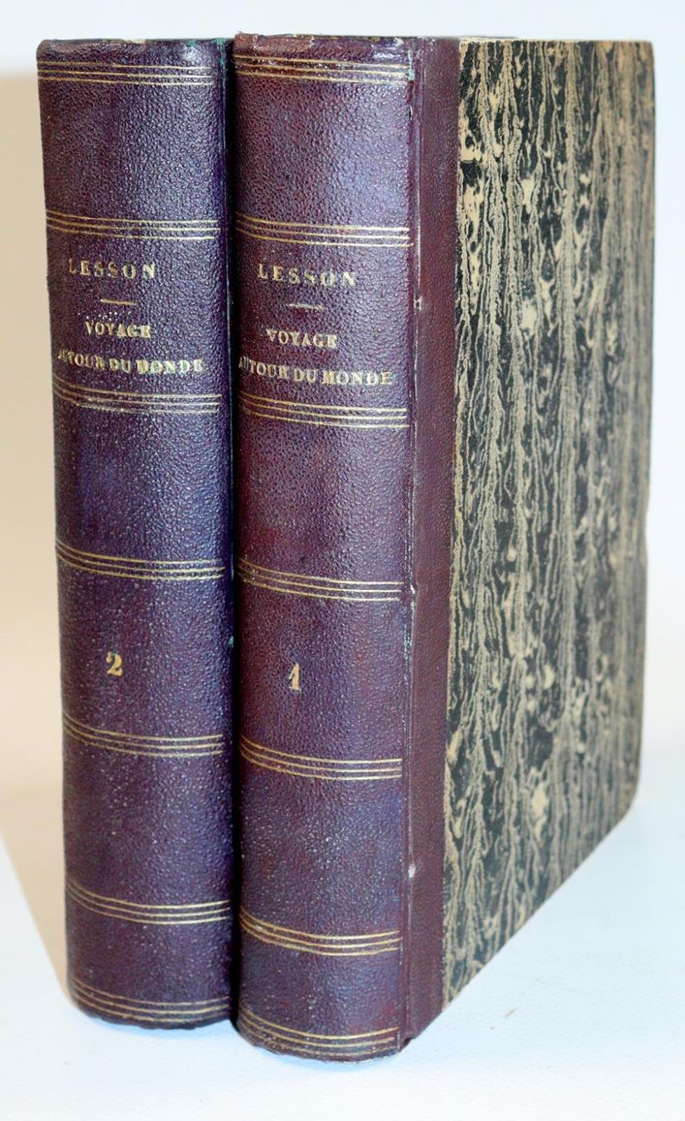 Lesson,R.P. | Bild Nr.5