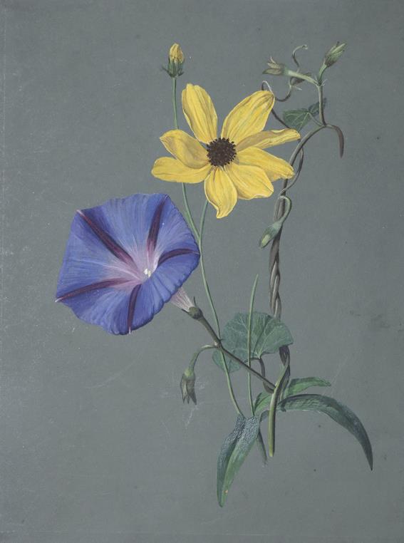 Strand,P. | Bild Nr.1