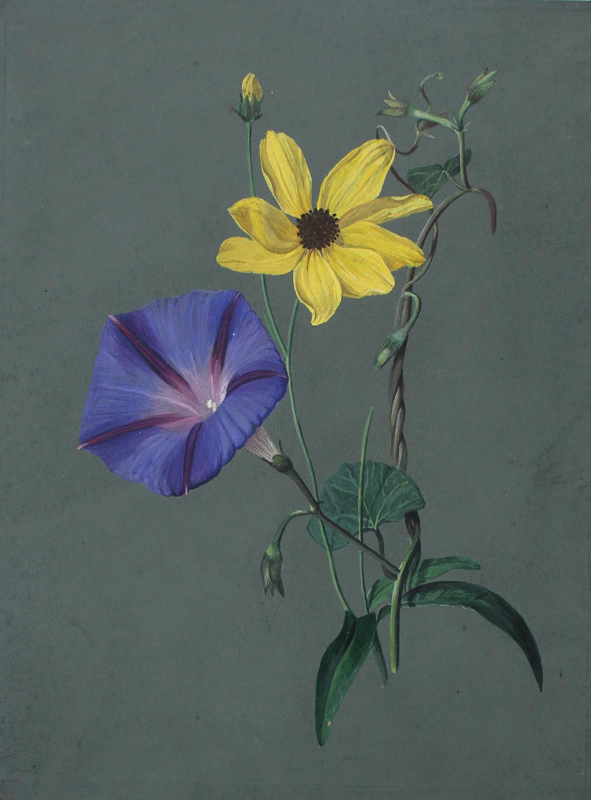 Strand,P. | Bild Nr.2