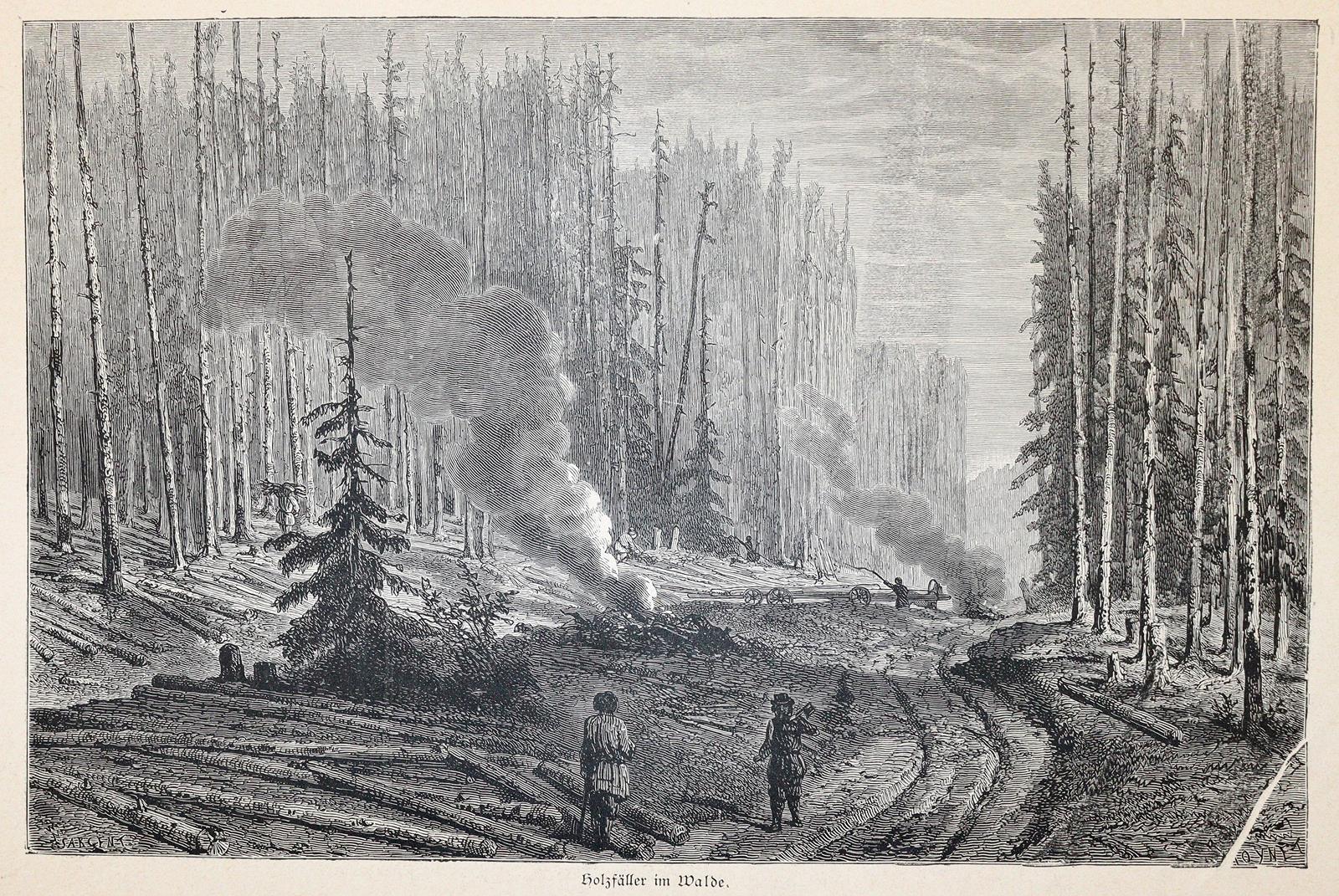 Roskoschny,H. | Bild Nr.4