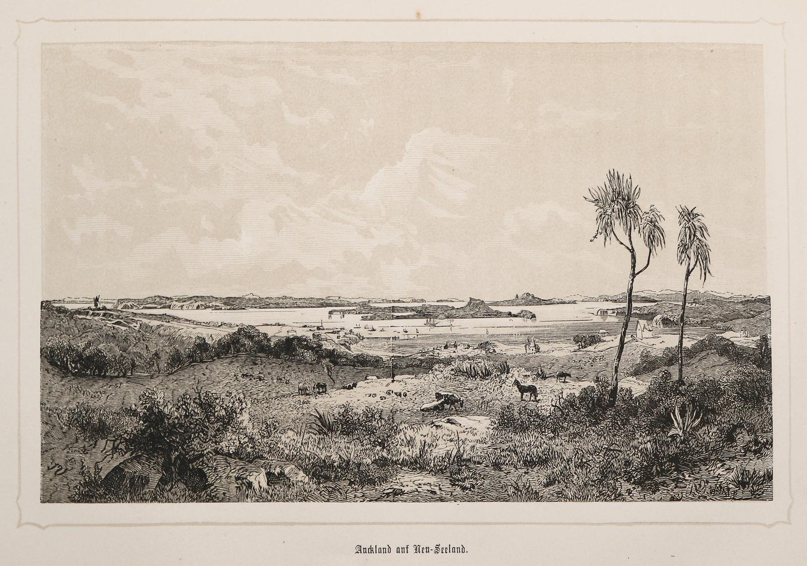 Scherzer,K.v. | Bild Nr.1