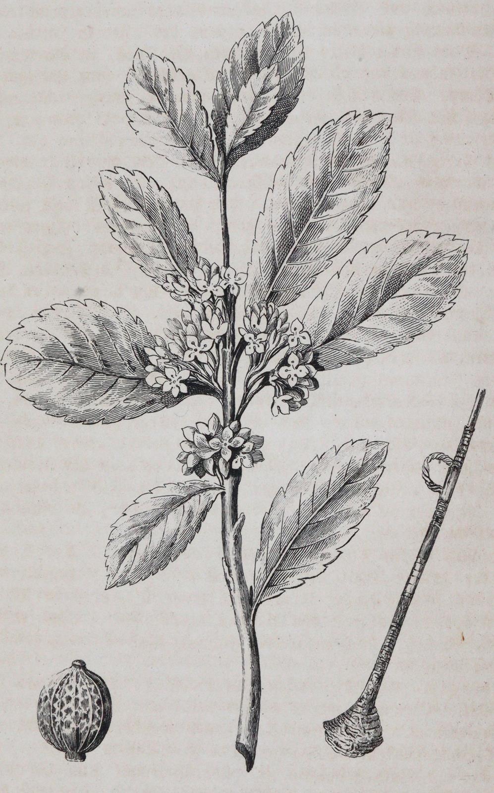 Welt-Gemälde-Gallerie | Bild Nr.4