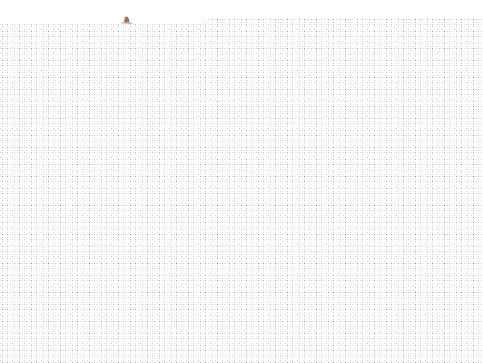 Kuduo Goldsaubgefäß | Bild Nr.2