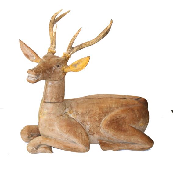 Hirsch muntjak | Bild Nr.1