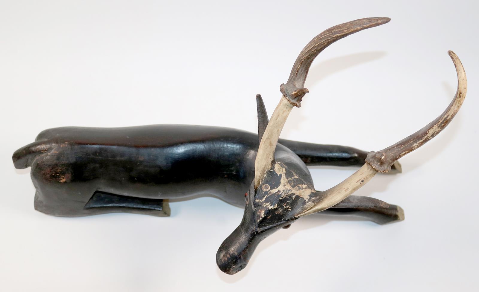 Hirsch muntjak | Bild Nr.2