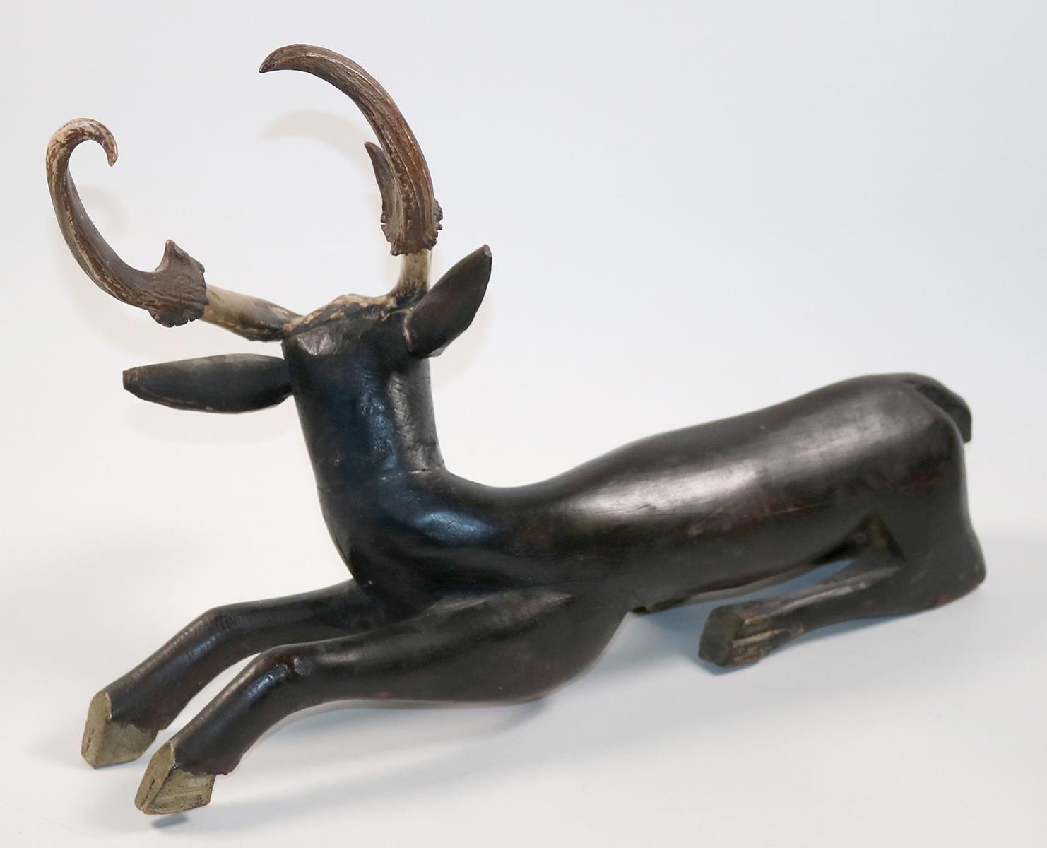 Hirsch muntjak | Bild Nr.3